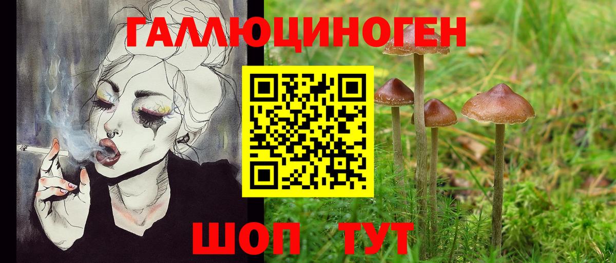 Галлюциногенные грибы Cubensis  Вход с VPN  Нефтекумск  что такое наркотик  Галлюциногенные грибы Psilocybine cubensis 